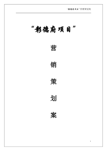 营销策划方案(章德)