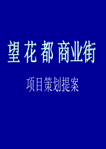 著名望花都商业街经典强势营销策划案