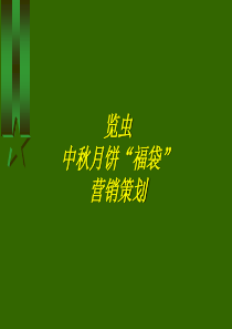 览虫中秋月饼“福袋”营销策划方案