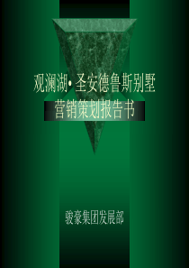 销售策划报告书