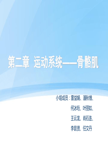运动系统骨骼肌介绍