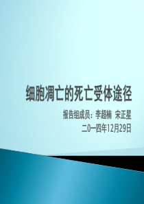 细胞凋亡的死亡受体途径PPT