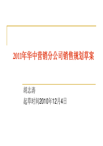 XXXX年华中区域营销规划方案