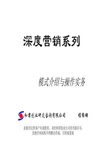 202深度营销系列—模式介绍与操作实务