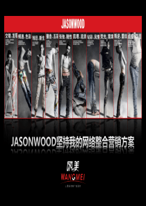 JASONWOOD坚持我的网络整合营销方案