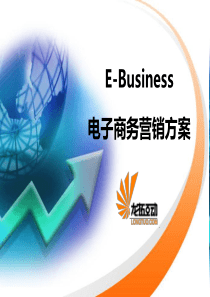 XXXX凡客电子商务营销方案