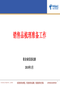 BSS30销售品培训资料