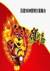 XXXX年百度SEM营销方案集合