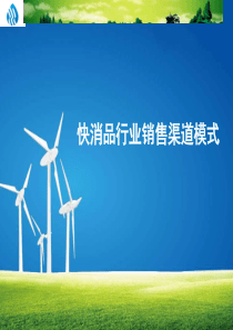 快消品行业销售渠道模式