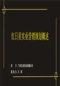 红日星实业营销规划