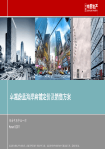 XXXX湖南中原_卓越蔚蓝海岸商铺定价及销售方案