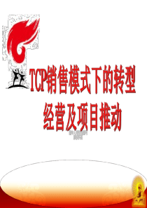 新的销售模式下的银保转型(78页)