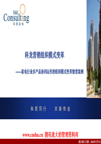 科龙营销组织模式变革-jesizhao