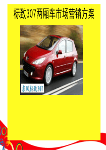 【汽车营销】东风标致307两厢车市场营销方案XXXX[1]