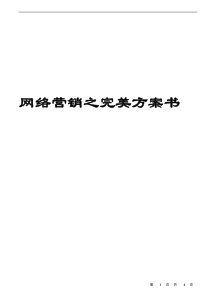 【网络营销】网络营销之完美方案书