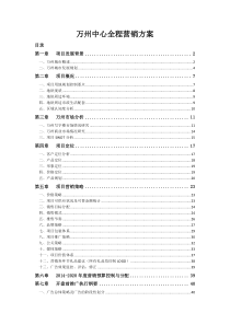 万州中心全程营销方案92