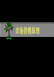 【培训课件】市场营销原理