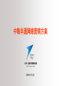 中粮丰通网络营销方案
