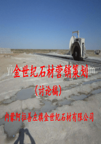 内蒙阿盟左旗金世纪石材营销方案