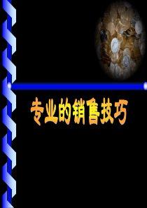 讲师版-汽车专业的销售技巧(ppt 87) 