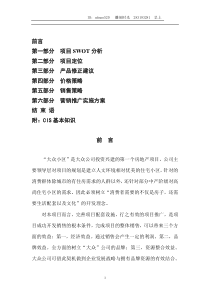 大众营销推广实施方案(全案)