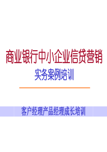 商业银行中小企业信贷营销培训
