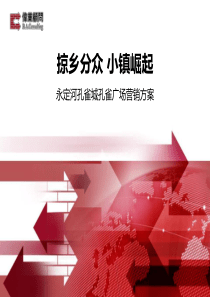 孔雀广场营销方案(伟业顾问)