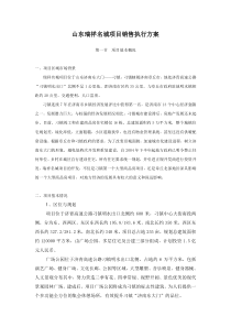 山东瑞祥名城项目销售执行方案