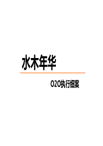 最新水木年华项目网络电商销售推广合作执行方案