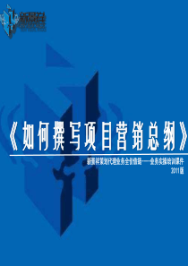 新景祥培训课件三如何撰写项目营销总纲(XXXX版)N