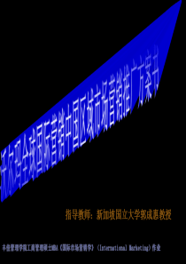 沃尔沃全球国际营销中国区域0市场推广营销方案书