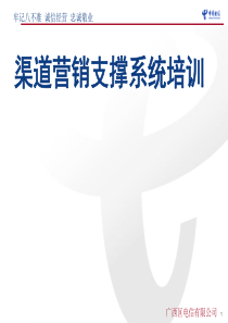 渠道营销支撑系统培训(PPT)