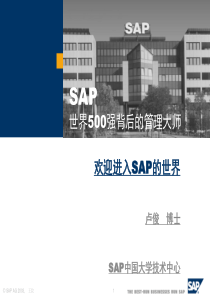 欢迎进入SAP的世界