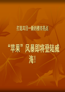 苹果公寓”营销推广方案