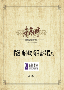 西安临潼唐御坊唐文化园-销售方案81P