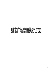 财富广场营销执行方案070906