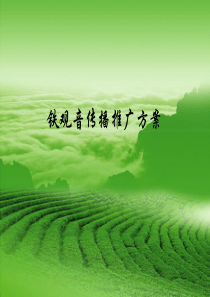 铁观音网络营销传播推广方案