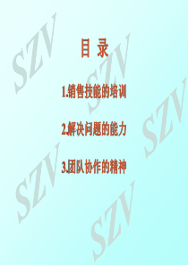 销售技能培训(PPT)