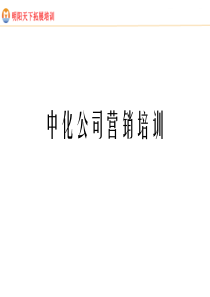 麦肯锡-中化公司营销培训(PPT204)