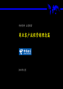 麦肯锡为广东电信总经理级别进行的BPR培训材料（商业客户营销
