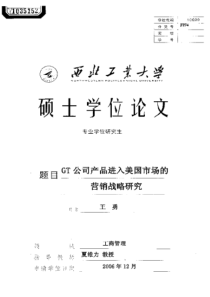 GT公司产品进入美国市场的营销战略研究