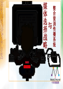 《整合营销传播系统与媒体选择战略》（PPT 101页）