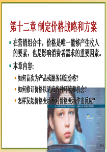 人大市场营销课件CH12制定价格战略和方案
