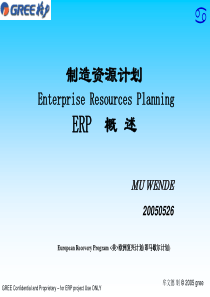 民丰特纸-SAP项目实施建议书(1)