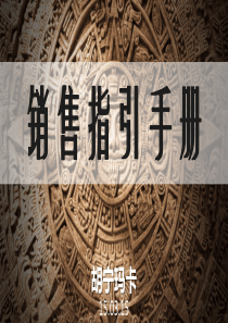 胡宁玛卡-销售指引手册150329