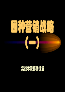 四种营销战略一
