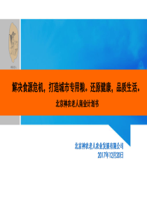 大米营销战略规划