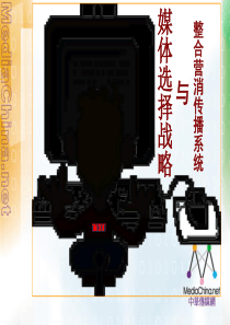 整合营销系统传播与媒体选择战略(PPT101页)