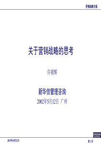 新华信营销战略（PPT 25页）