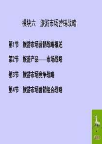 模块六旅游市场营销战略